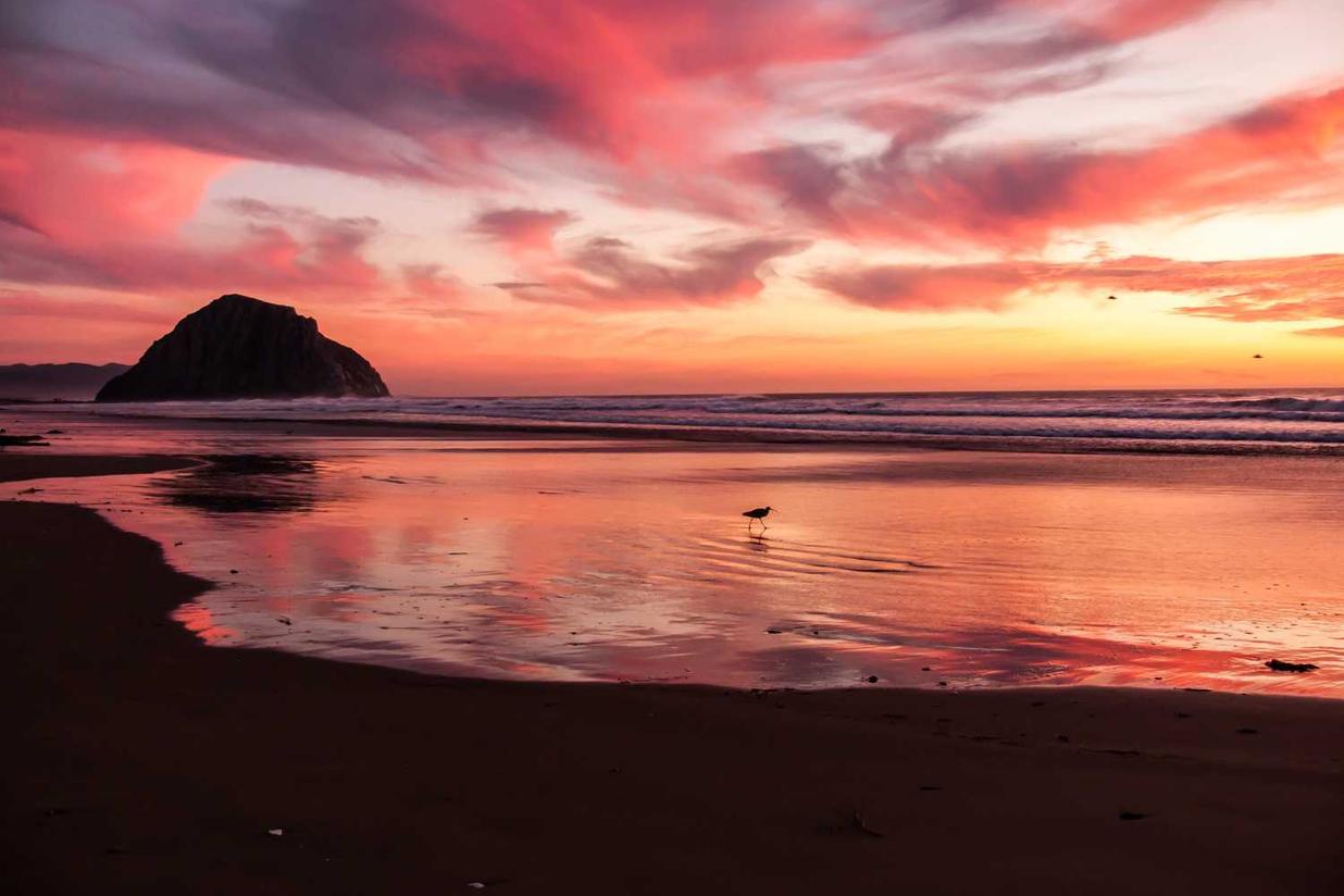 Et voluptate eaque et repellendus eos